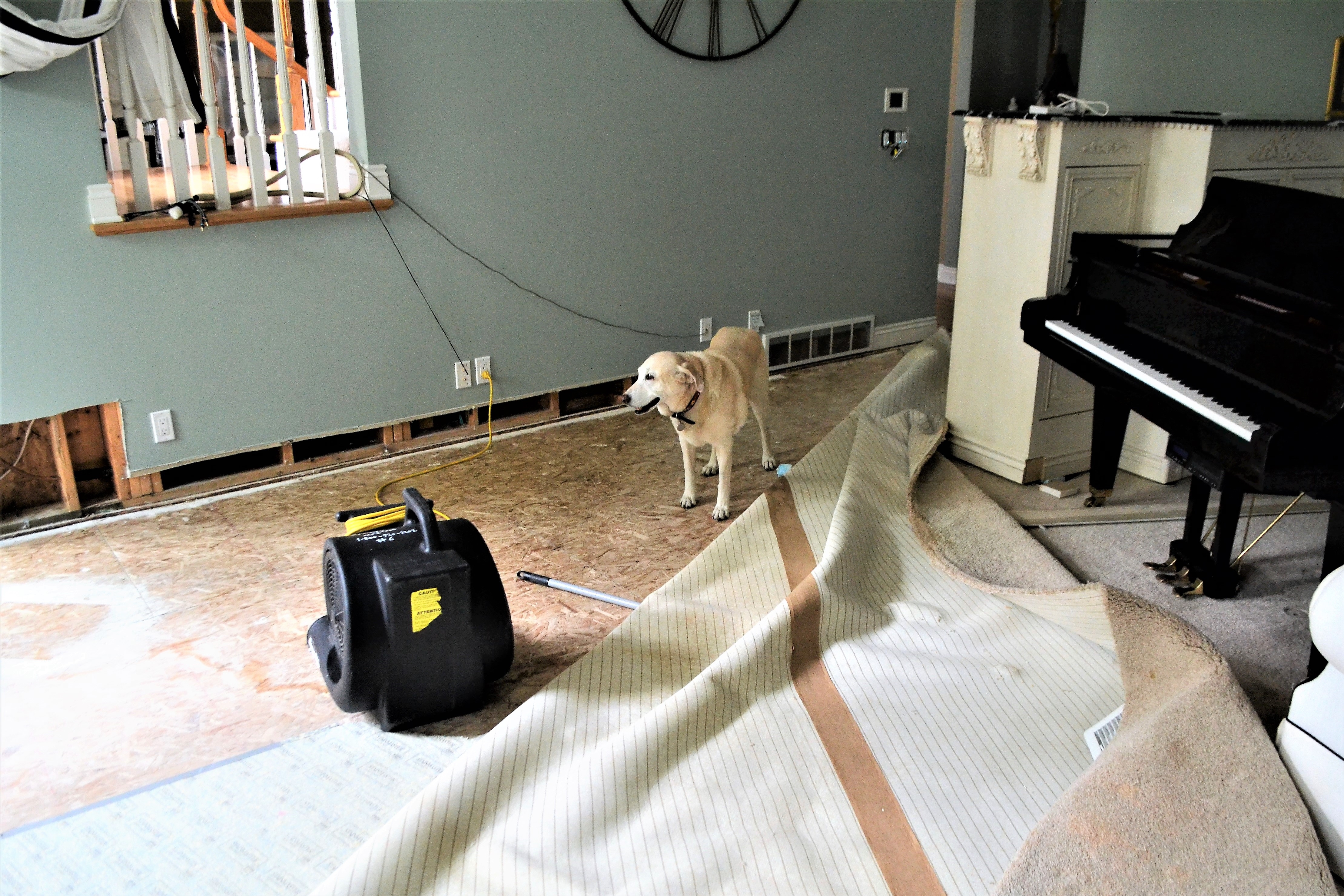 Drying-and-Deodorizing--in-Polk-Ohio-drying-and-deodorizing-polk-ohio.jpg-image