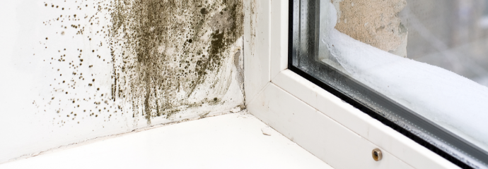 Mold-Remediation--in-Moody-Alabama-mold-remediation-moody-alabama.jpg-image